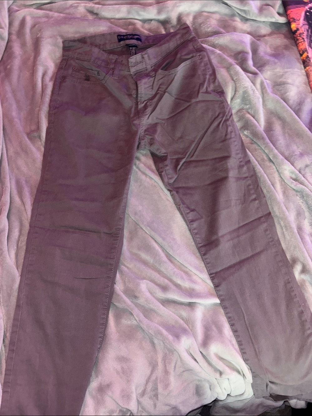U.S. Polo Assn. Skinny Jeans in Plum